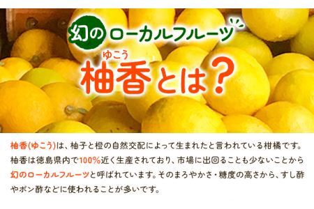 ゆこう丸しぼり 150ml×3本 株式会社阪東食品 《30日以内に出荷予定(土日祝除く)》調味料 柑橘 ゆこう 柚香 瓶 徳島県 上勝町 送料無料