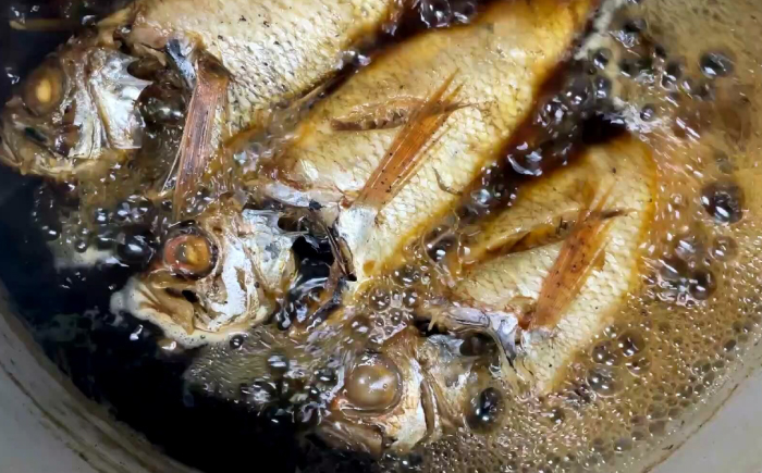 島根県産特大「のどぐろの煮付け」 島根県松江市/浅利観光株式会社 [ALAB001]