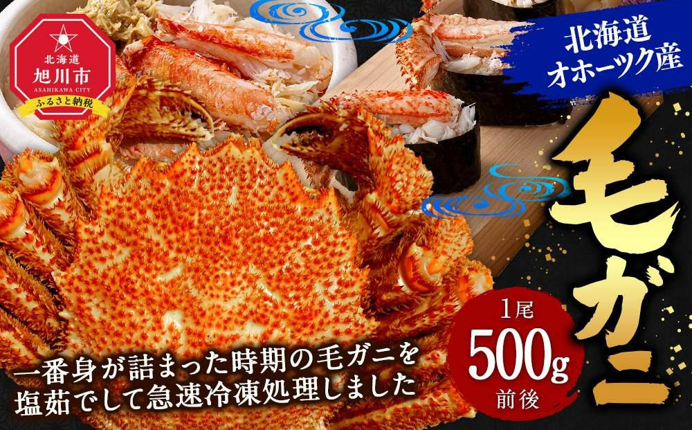 北海道オホーツク産　毛ガニ　1尾　500ｇ前後