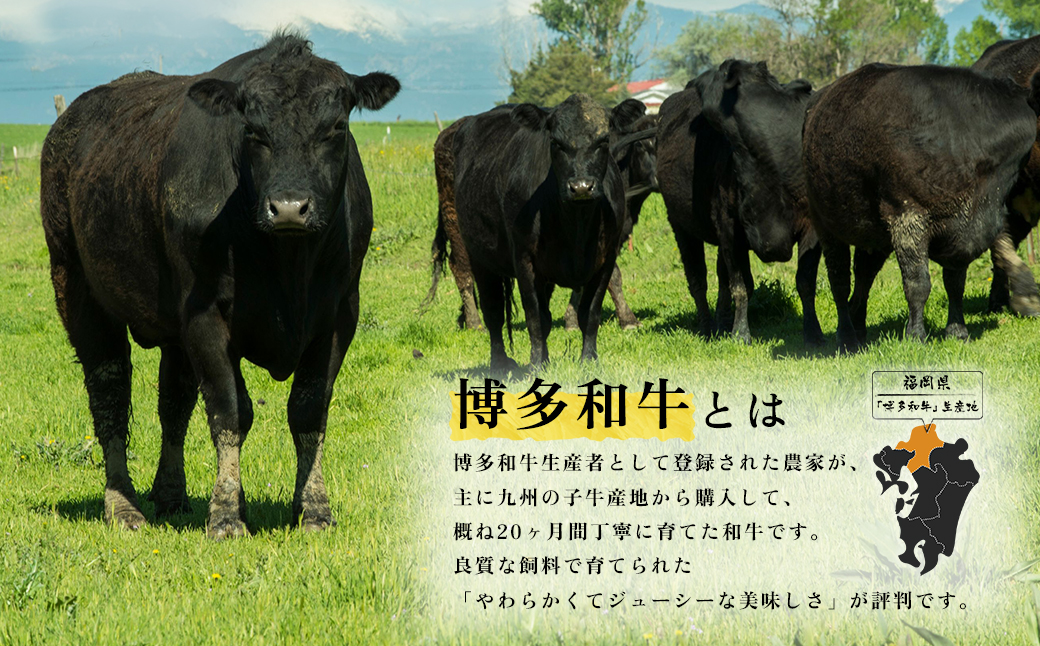 2J2【福岡県産】 博多和牛切り落とし 1.6kg