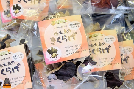 天然水使用・完全天日干し徳之島産きくらげ（15g×14袋）( きのこ 健康 国産 安心 安全 和食 中華料理 こりこり 料理 天然水 中華丼 汁物 具材 朝食 昼食 夕食 )