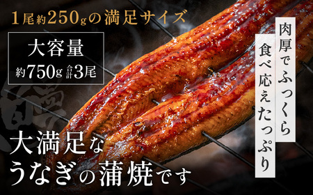 AE202.うなぎ蒲焼き3尾セット（約250g×3尾）