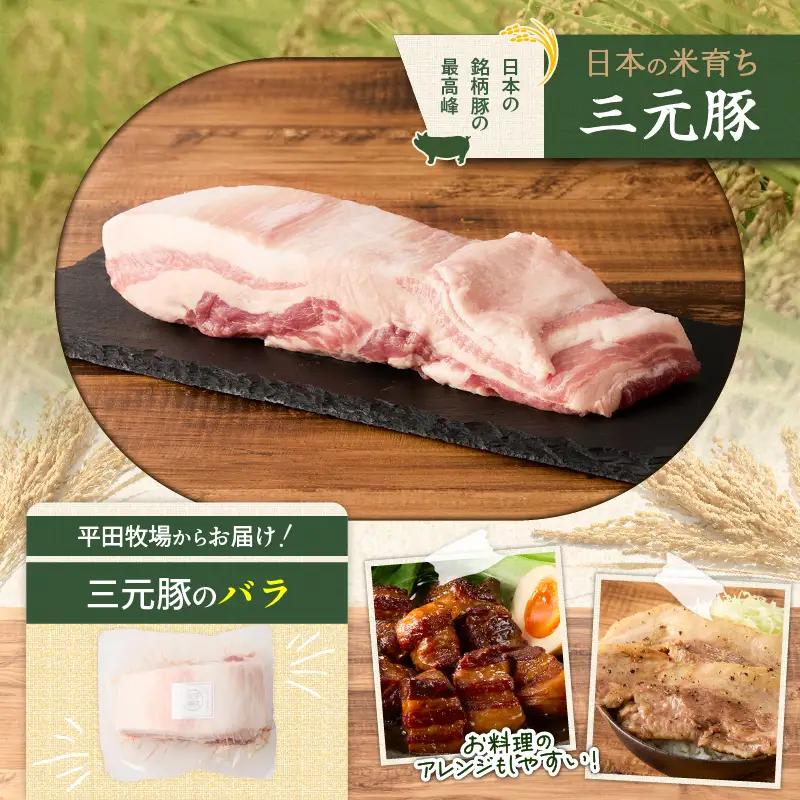 【 全3回 毎月 定期便 】 日本 の 米育ち 平田牧場 三元豚 バラ ブロック 1.2kg T036-T09-01 肉 豚肉