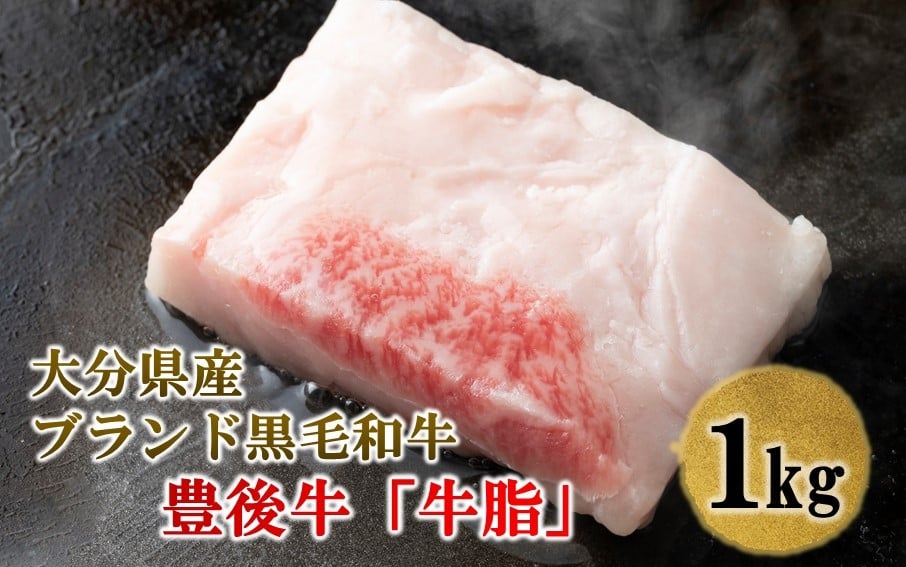 
            【ふるさとチョイス限定】 おおいた黒毛和牛 豊後牛の贅沢牛脂 1kg 料理 油 国産 小分け 焼肉_1504R
          