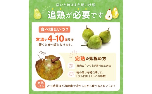 【2026年産】 西洋梨 ラフランス 3kg 山形県 東根市 安達農園提供 hi037-017-r8 フルーツ 果物 くだもの クダモノ ラ・フランス 洋なし 洋ナシ 特産品 グルメ 旬 東北