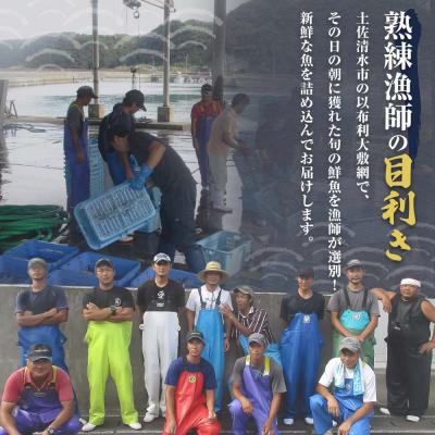 ふるさと納税 土佐清水市 旬の朝獲れ鮮魚詰め合わせ【以布利定置網　漁師直送】【S00818】 |  | 01