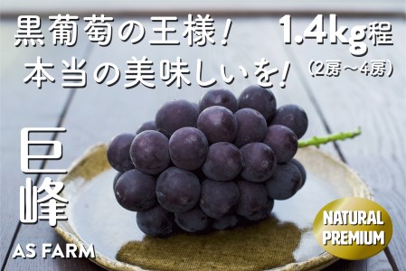 濃厚な甘みと酸味のバランス 甲州市産「巨峰」約1.4kg（2～4房）数量限定【2026年発送】（ASF）B-146 ぶどう フルーツ