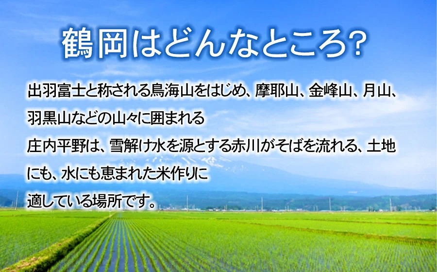 【令和7年産先行予約】特別栽培米つや姫 10kg (5kg×2袋)×6ヶ月【定期便】　鶴岡協同ファーム