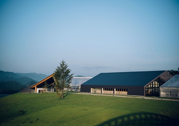 アップルパイ＆ブラウニー アップル パイ ブラウニー リンゴ ケーキ スイーツ お菓子 お酒入り 洋酒 贈答品 贈答用 ギフト 三重県 多気町 コンフィチュールアッシュ VCH-21