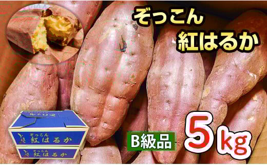 
            ぞっこん 紅はるか B級品 5㎏ Lサイズ 産出額 全国 No. 1 茨城 鉾田 さつまいも 干し芋 焼き芋 としまる
          