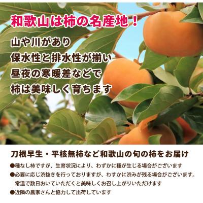 ふるさと納税 美浜町 家庭用 たねなし柿10kg【訳あり】【刀根早生・平核無柿(ひらたねなしかき)】 |  | 02