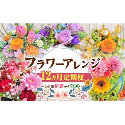 ふるさと納税 伊那市 【12ヶ月定期便】フラワーアレンジ(ギフトにも)花の名産地伊那から全国へ　旬の切り花を1鉢お届け
