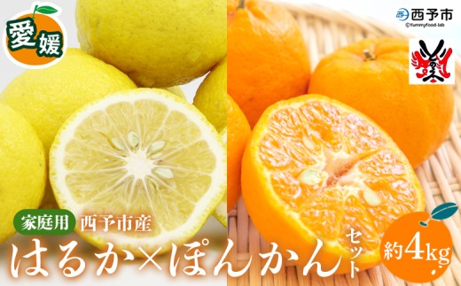 ＜愛媛西予市産 はるか・ぽんかんセット 家庭用 約4kg＞柑橘 果物 フルーツ ポンカン ミカン みかん オレンジ 特産品 渡江から一歩を踏み出す会 食べて応援 特産品 愛媛県 西予市 【常温】『2026年4月上旬までに順次出荷予定』