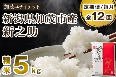 【令和7年産・令和8年産新米先行予約可】【定期便12ヶ月毎月お届け】新潟県産 新之助 精米5kg（5kg×1袋） 《令和7年産：順次出荷・令和8年産新米：2026年10月から出荷》