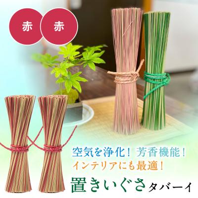 ふるさと納税 八代市 置きいぐさ(タバーイ)2本セット 赤×赤_024-4648-RR-B