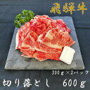 【ふるさと納税】飛騨牛切り落とし300g×2パック【配送不可地域：離島】【1507965】