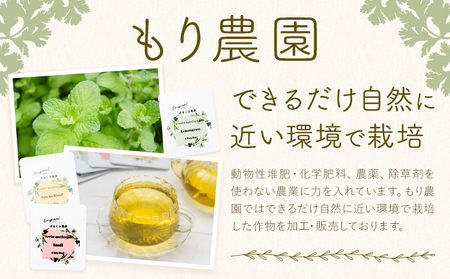 ハーブティー 5点セット もり農園 紅茶