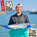 【ふるさと納税】 サワラ 1尾 (2〜3kg) 七ヶ浜産 《10月〜11月発送｜ 数量限定 》 新鮮 まるごと ｜ さわら 鰆 旬 刺身 西京焼き 焼き魚 活魚 鮮魚 海の幸 グルメ 海鮮 鍋 高級 和食 フレンチ ムニエル 漁師 国産 宮城県 七ヶ浜町 ｜jf-sw01-R6