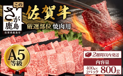 【60日以内発送】A5等級 佐賀牛 焼肉用 800g(400g×2P)【厳選部位】ロース モモ ウデ バラ D-183