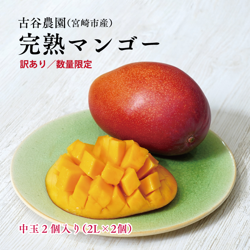 《2026年発送先行予約》【数量・期間限定】《訳あり》古谷農園の宮崎完熟マンゴー 中玉2個セット マンゴー 果物 フルーツ
