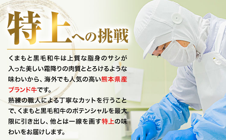 くまもと黒毛和牛 特上 スライス ウデ・モモ 500g 牛肉 冷凍 《30日以内に出荷予定(土日祝除く)》 くまもと黒毛和牛 黒毛和牛 冷凍庫 個別 取分け 小分け 個包装 モモ スライス 肉 お肉 