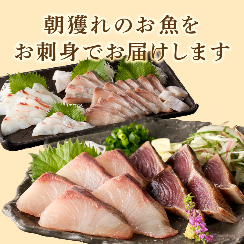 【12ヶ月定期便】大和の高級お刺身　6人前【冷蔵】 N072-YG0259-1