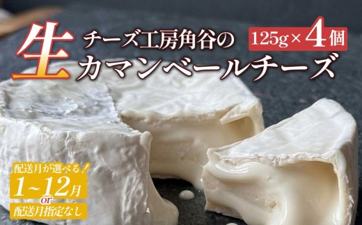 
                  【ふるさと納税】【選べる配送月】超熟「生」カマンベールチーズ 4個 チーズ工房角谷 KAKUYA カマンベール チーズ ちーず 地元産生乳使用 生乳 手造り クリーミー おつまみ デザート 北海道 安平町 安平
                
