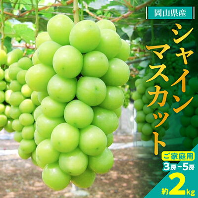 【ふるさと納税】【2025年発送】訳あり!シャインマスカット約2kg!8月中旬～順次発送【人気の岡山産ぶどう】_ 訳あり シャインマスカット ぶどう 2kg 葡萄 ブドウ 果物 くだもの フルーツ 人気 美味しい 岡山 送料無料 【配送不可地域：離島】【1378275】