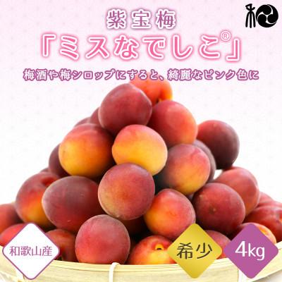 ふるさと納税 田辺市 【2025年分先行予約】紫宝梅『ミスなでしこ(R)』【青梅:4kg】【ngm004-1】