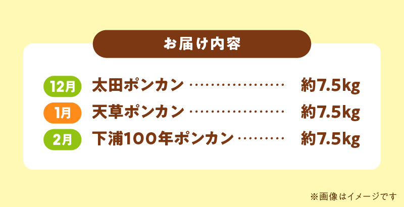 S040-T07_【定期便3回】天草 下浦特産ポンカン3種Cセット（訳あり）【先行受付】