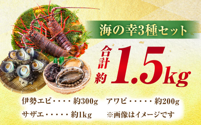 老舗鮮魚店の厳選！豪華天然魚介3種セット！（イセエビ約300ｇ・アワビ約200g・サザエ約1kg）　愛媛県大洲市/天然活魚　濱　屋 [AGBP005]伊勢海老 あわび bbq 鮑 鉄板焼き 海鮮 伊勢