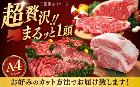 【一頭丸ごとオーダー！】 博多和牛 一頭食べ尽くしセット＜株式会社MEAT PLUS＞桂川町[ADAQ099]