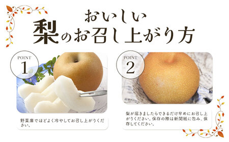 N06 梨 なし にっこり梨 10kg 矢畑むらづくり組合《9月下旬-10月中旬に出荷予定》【栃木県共通返礼品　栃木県産】【配送不可地域あり】(離島)