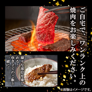 【訳あり・数量限定】うしの中山黒毛和牛切り落とし焼肉(計1.1kg・550g×2P) b5-177