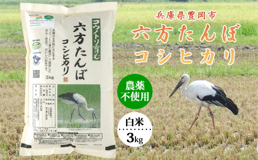 【ふるさと納税】六方たんぼ コシヒカリ 農薬不使用（白米：3kg）令和7年産 / 米 お米 精米 白米 コメ こめ ご飯 コシヒカリ コウノトリ育む農法