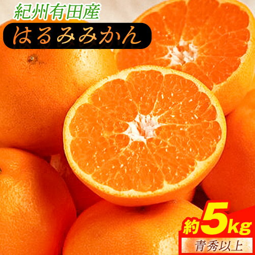 【ふるさと納税】＜先行予約＞青秀以上 紀州有田産 はるみ 約5kg（Lサイズ）《2026年1月下旬-3月上旬頃出荷》和歌山県 日高川町 フルーツ 果物 はるみ