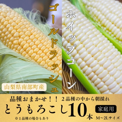 
                  ＜山梨県南部町産＞品種おまかせ!!朝採りとうもろこし10本　※ご家庭用【1714725】
                