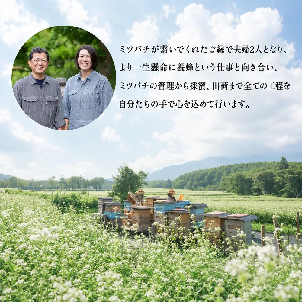 国産 非加熱はちみつ さくら（600g×1本）｜ 純粋 天然 稀少 長期保存 「大西養蜂場」