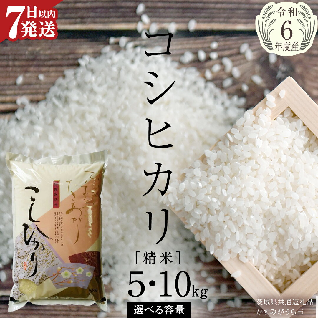 【ふるさと納税】 ≪ 令和6年産 ≫コシヒカリ 精米 5kg ～ 10kg ( 選べる 内容量 ) (茨城県共通返礼品 かすみがうら市) 米 ごはん もっちり 甘い コメ お米 白米