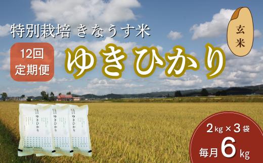 【玄米12ヶ月定期便】特別栽培米ゆきひかり2kg×3袋　Q006