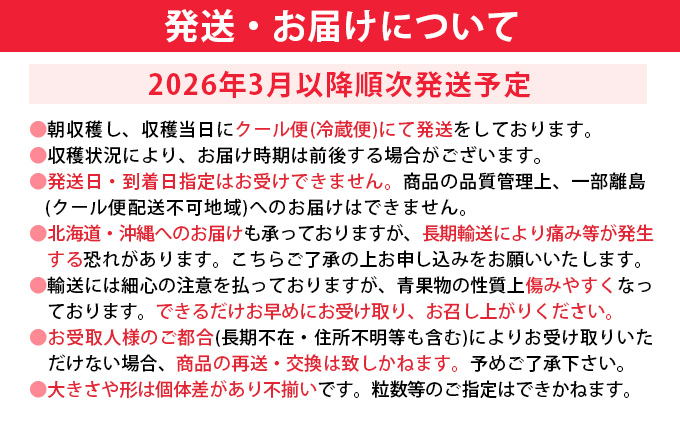 【先行予約/2026年】福岡県産あまおう 約270ｇ×4パック《2026年3～4月発送》 CL002
