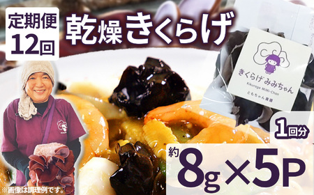 【定期12回】乾燥きくらげ 8g×5P ともちゃん農園|定期便 乾燥きくらげ きくらげ 贈答用 乾燥 きくらげ 食物繊維 鉄分 カルシウム ビタミンD カリウム アミノ酸  高血圧予防 ふるさと 納税 栃木県 那珂川町 送料無料