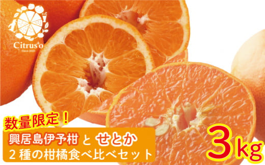 【先行予約・2025年2月上旬から発送】興居島伊予柑とせとか 2種の柑橘食べ比べセット 約3kg みかん 柑橘 みかん フルーツ みかん 食べ比べ ミカン みかん 蜜柑 愛媛県 松山市