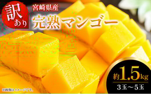 訳あり 完熟 マンゴー 約1.5kg （3玉～5玉） 宮崎県産 果物 フルーツ