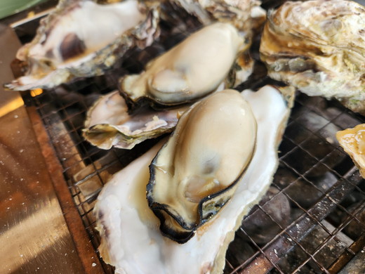 飛田水産　石川県七尾産　能登かき　殻付き半缶｜牡蠣　専用ナイフ 牡蠣 かき カキ 能登の里山里海 石川県七尾市 能登半島　※要加熱 ※2026年1月上旬～5月下旬頃に順次発送予定 ※北海道・沖縄・離島