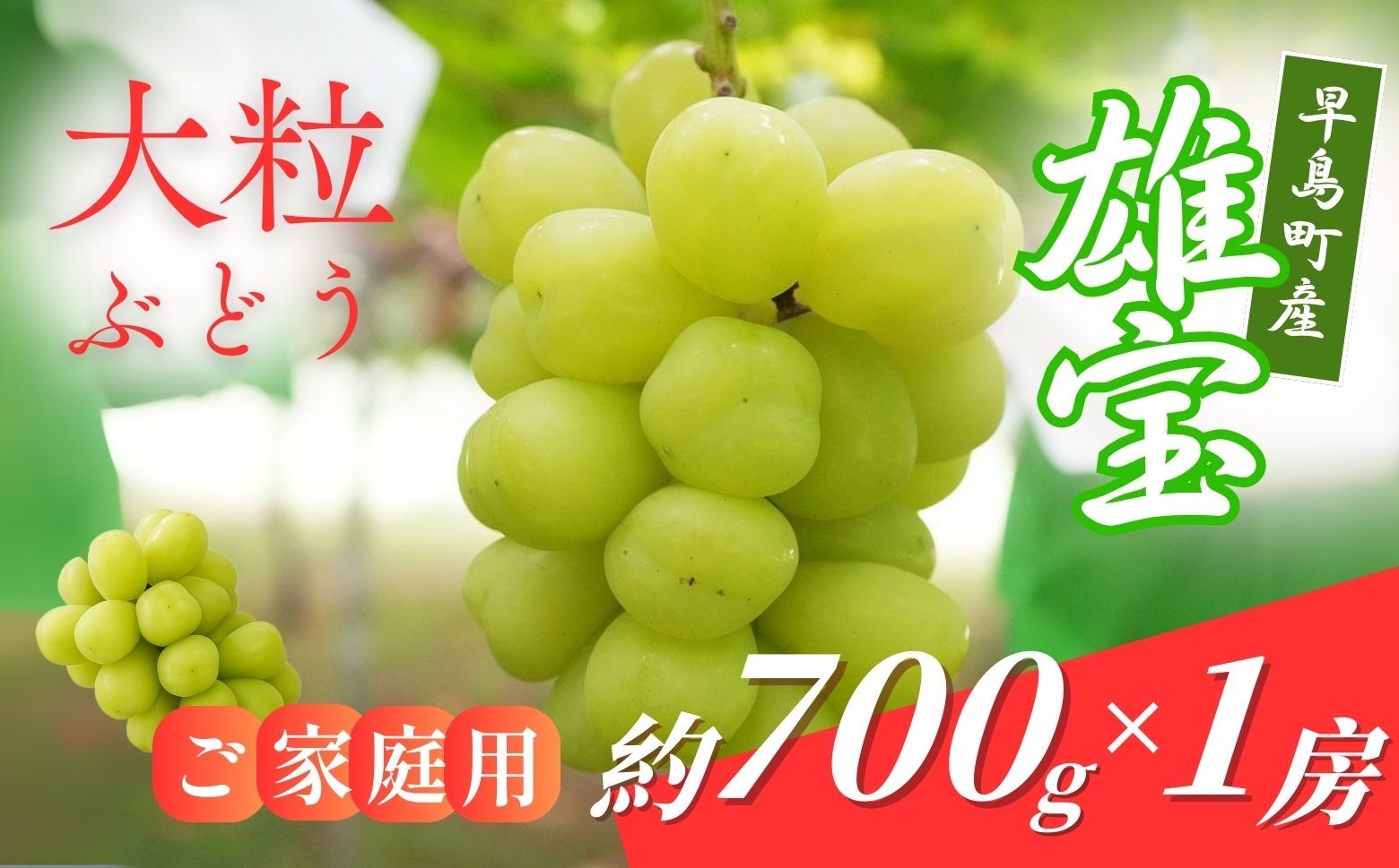 
                  【数量限定】早島町産 大粒のブドウ「雄宝」家庭用７００ｇ×１房（林果樹園）
                