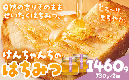 けんちゃんちのはちみつ 730g 2個セット はちみつ