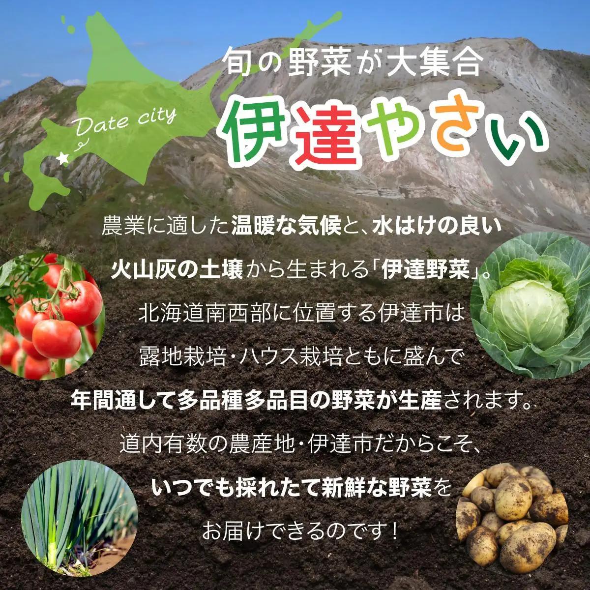 【ふるなびWEEK対象】＜定期便3回＞北海道 伊達市 産直・旬のおまかせ野菜詰合せ 6～8種【dnk-005_FU】