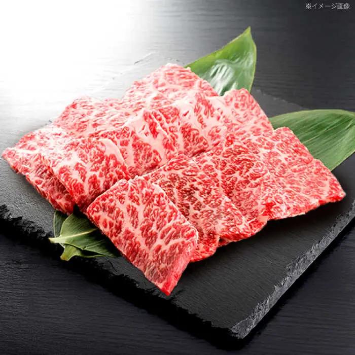 【6回定期便】長崎和牛 焼肉用 赤身スライス600g (モモ・ウデ 各300g)[OCE098]