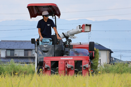 【令和8年】 先行予約近江米『コシヒカリ』　特別栽培米　10キロ（鮮度保持袋）